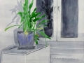 p1050227