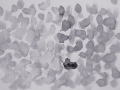 p1040422