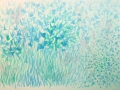 p1040270