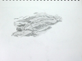p1070911
