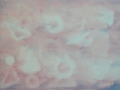 p1040361
